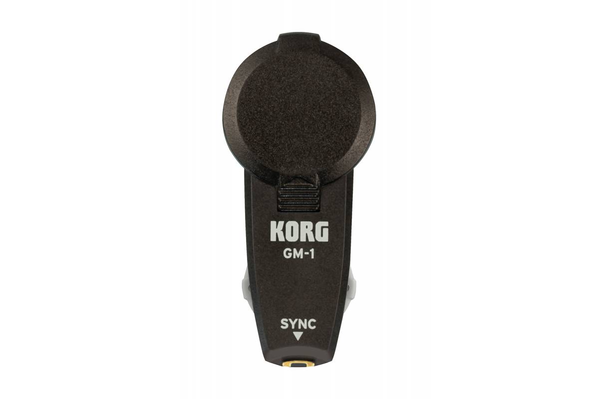 KORG GM-1 2PCS