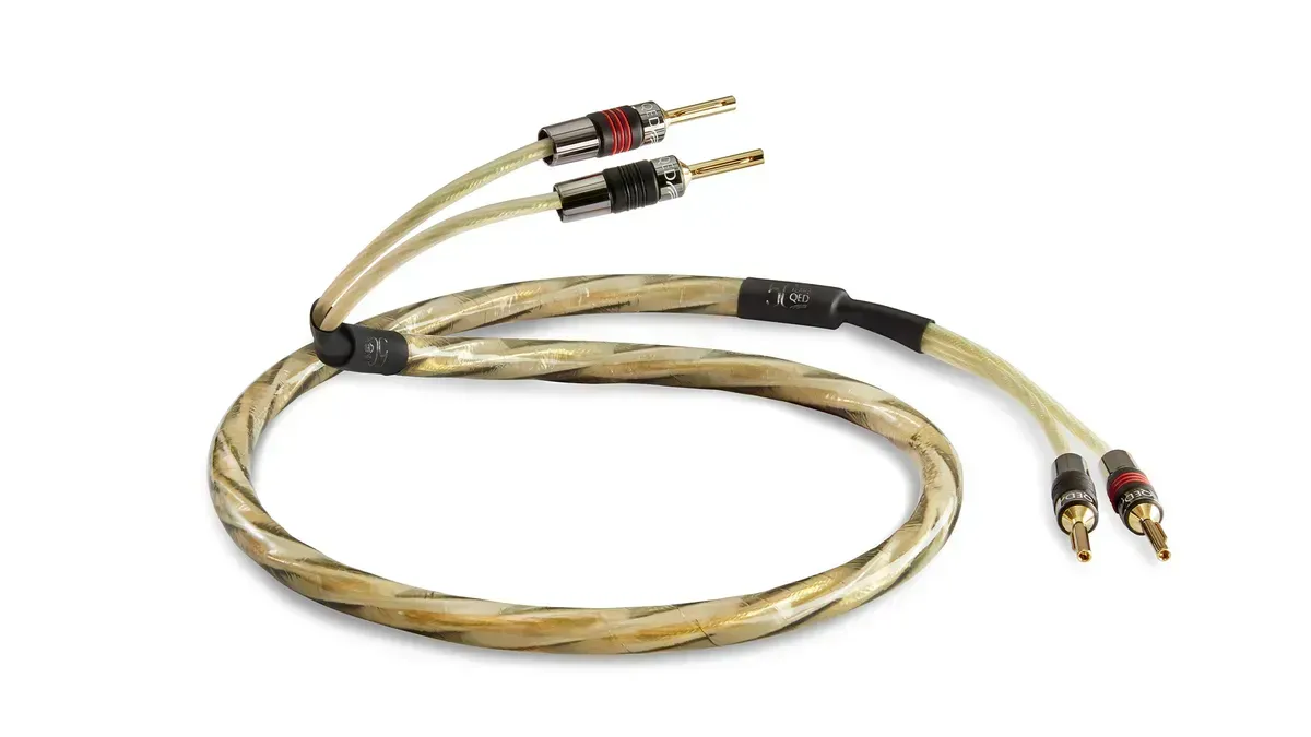 QED Golden Anniversary XT Pre-Term 2m (QE1470)