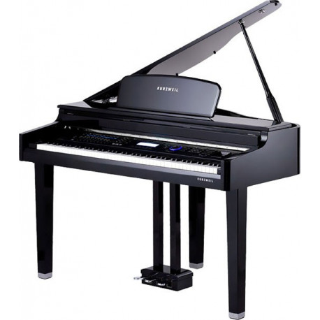 Kurzweil X-Pro MG EP