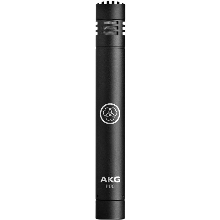 AKG Perception P170