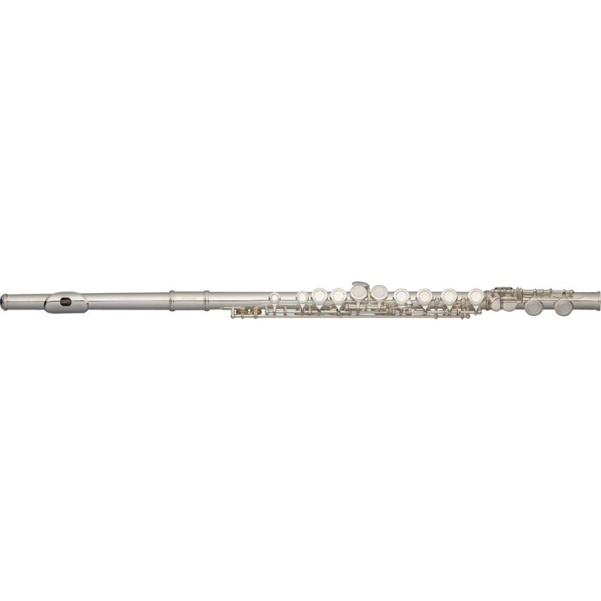 Stagg WS-FL111