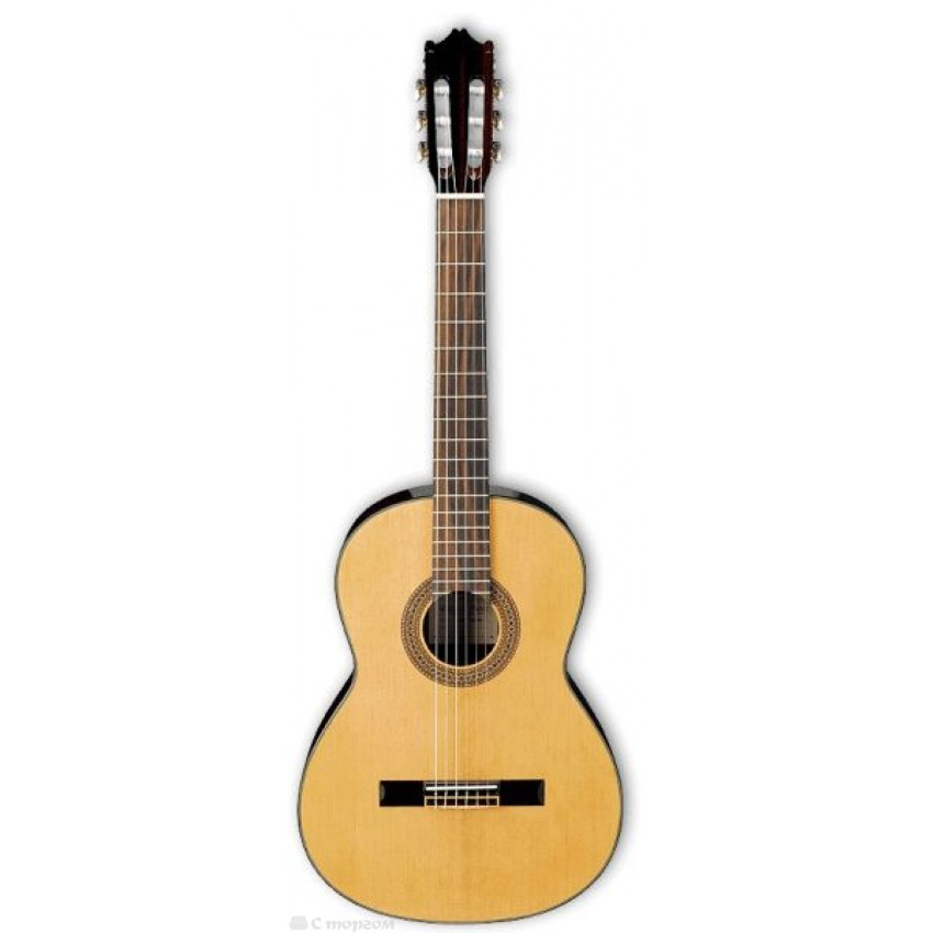 IBANEZ G100 NT