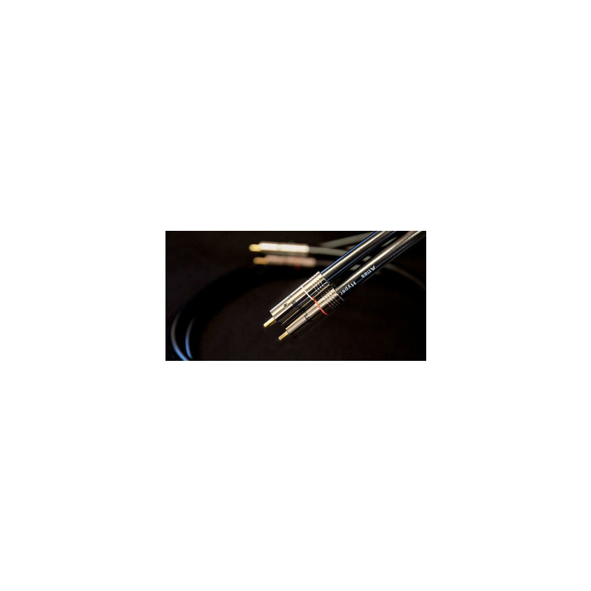 Atlas Hyper Digital (RCA-RCA) 1m
