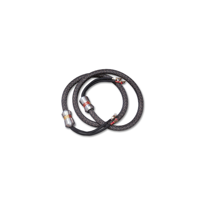 Kimber Kable Select Copper 3033 10 F 3.0m с наконечниками WBT-0610 CU