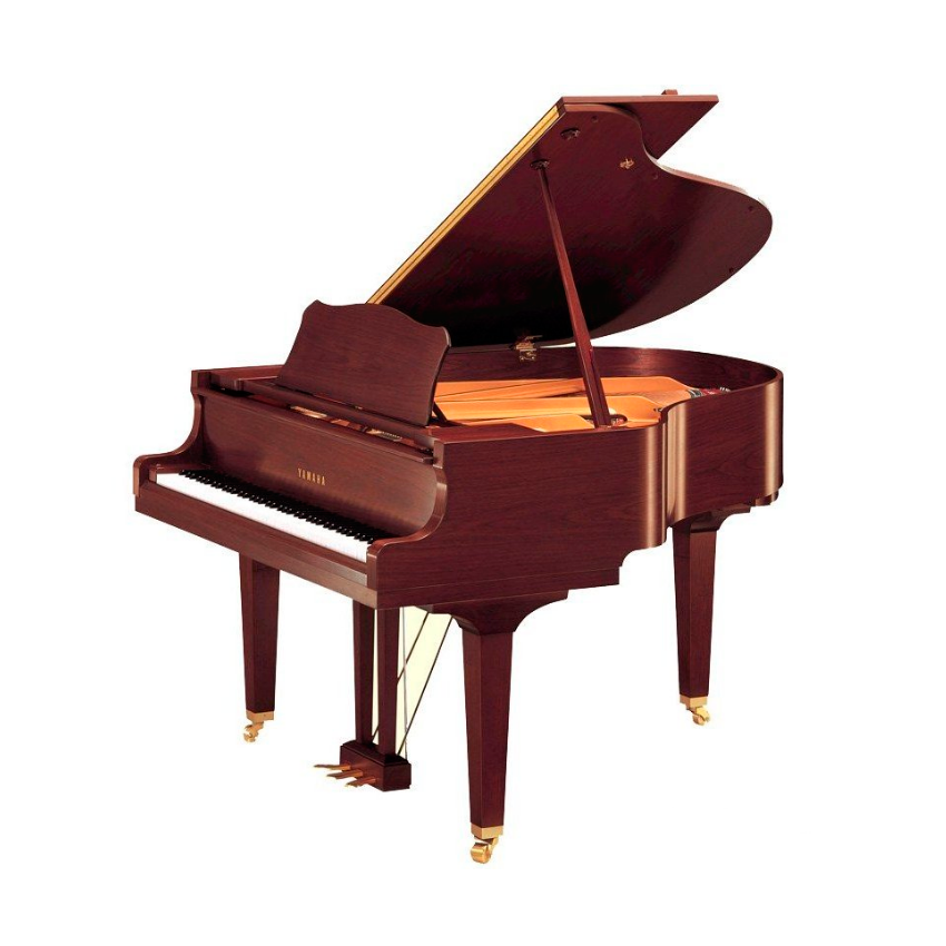 YAMAHA GC1 PM