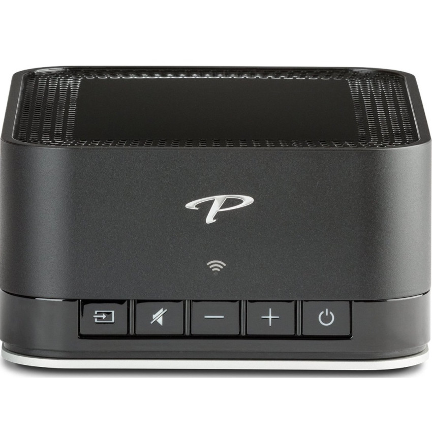 Paradigm PW AMP