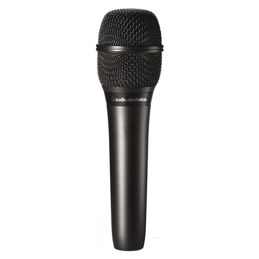 Audio-Technica AT2010