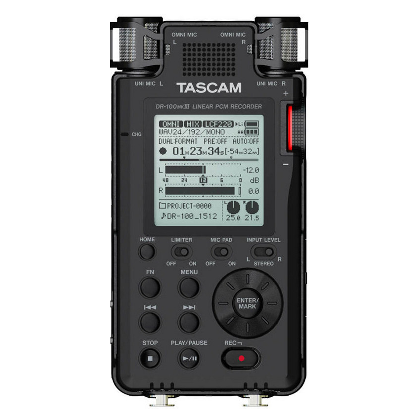 Tascam DR-100 mk3