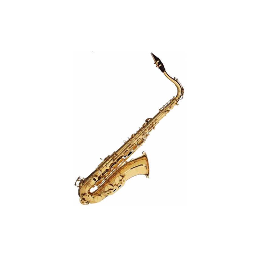 Stagg 77-ST