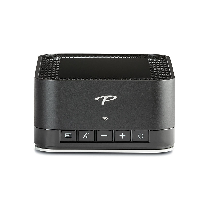 Paradigm Premium Wireless LINK