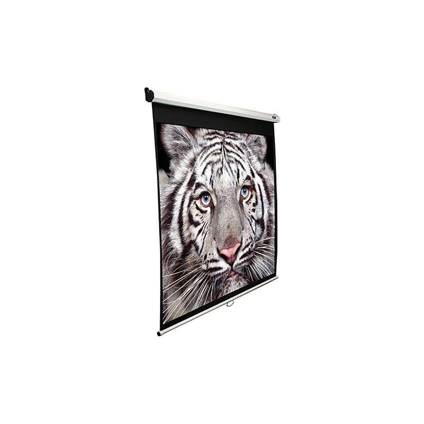 EliteScreen M100XWH-E24 100