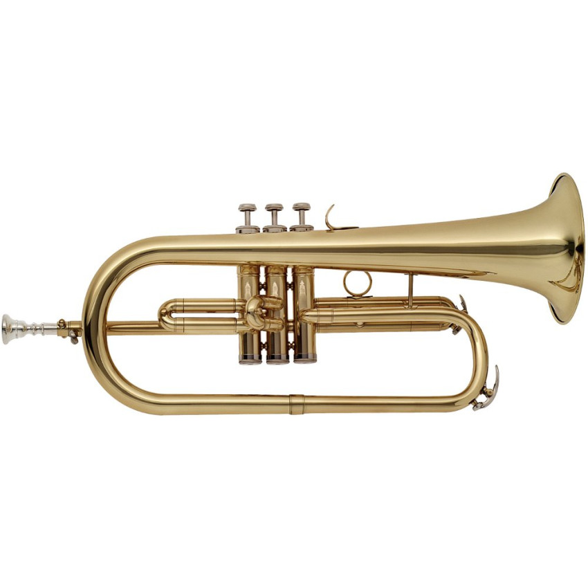 Stagg WS-FH215S