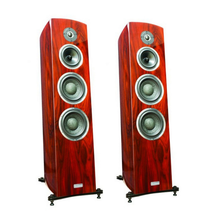 Taga Harmony Diamond F-200 REAL WOOD ROSEWOOD