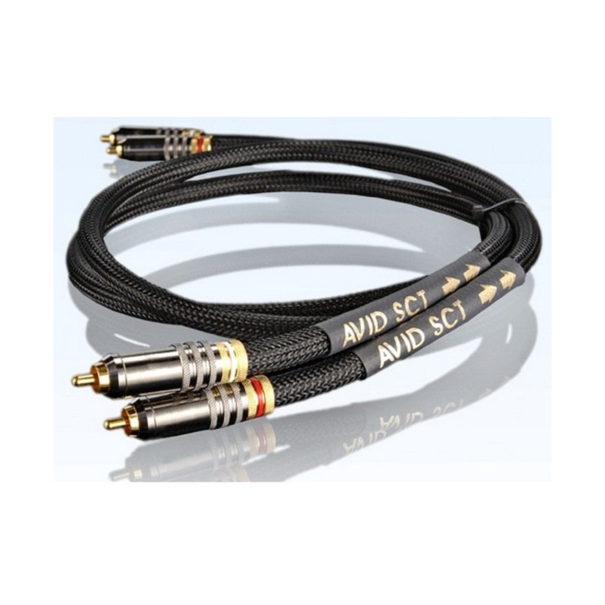 AVID RCA Black (2m)