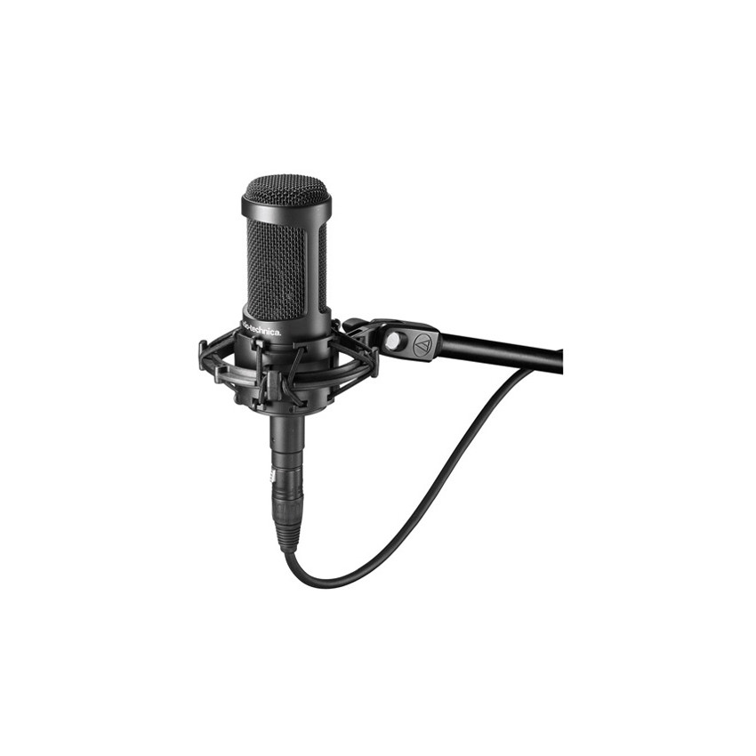 Audio-Technica AT2050