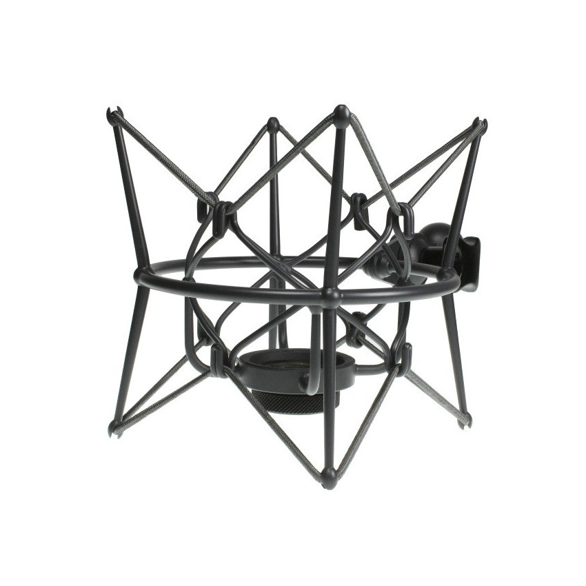 NEUMANN EA 2-MT