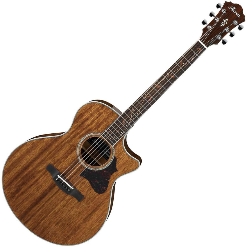 IBANEZ AE245 NT