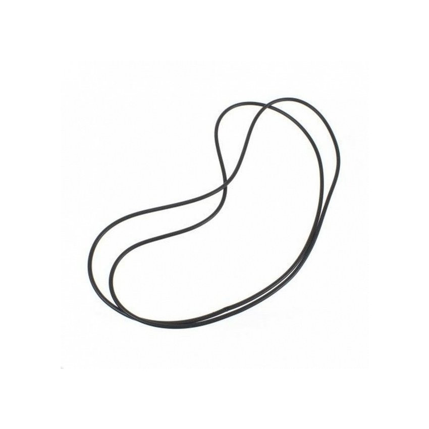 Transrotor Belt short