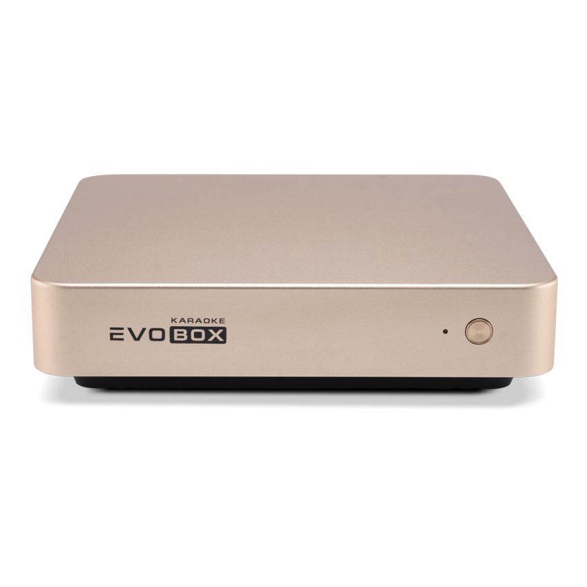 Караоке-система для дома EVOBOX [Gold]