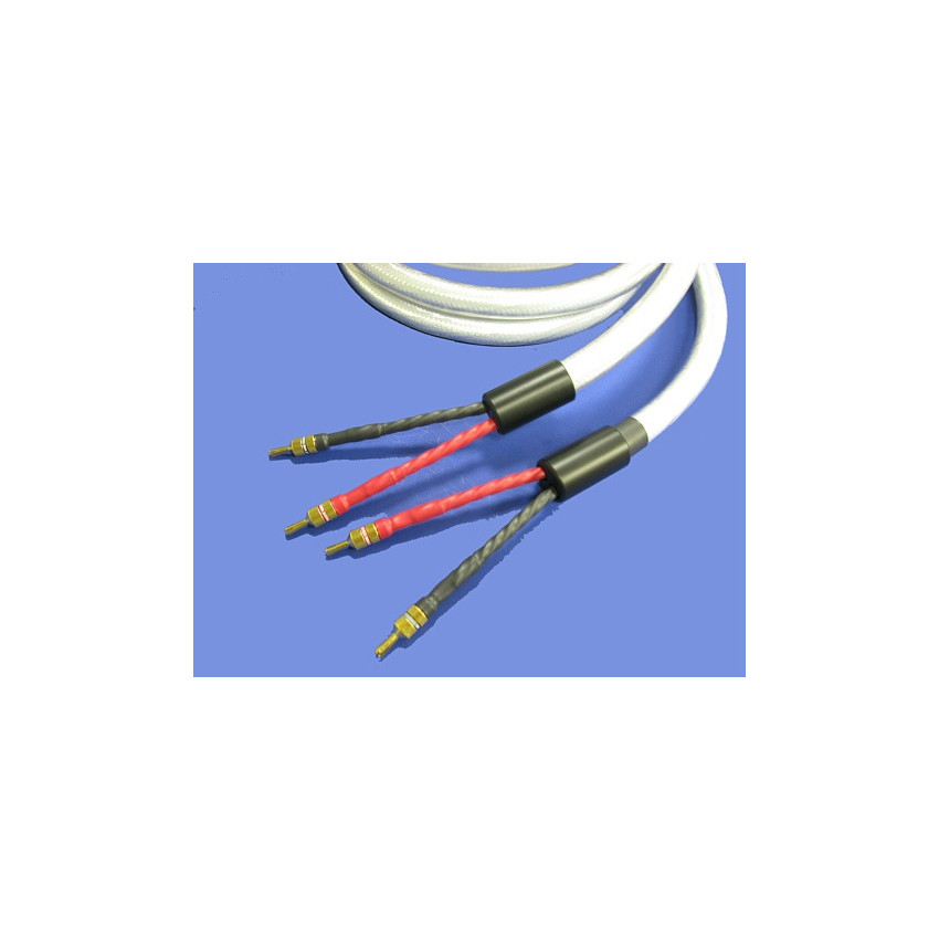 Straight Wire Expressivo Grande (EX60008) 2.4м