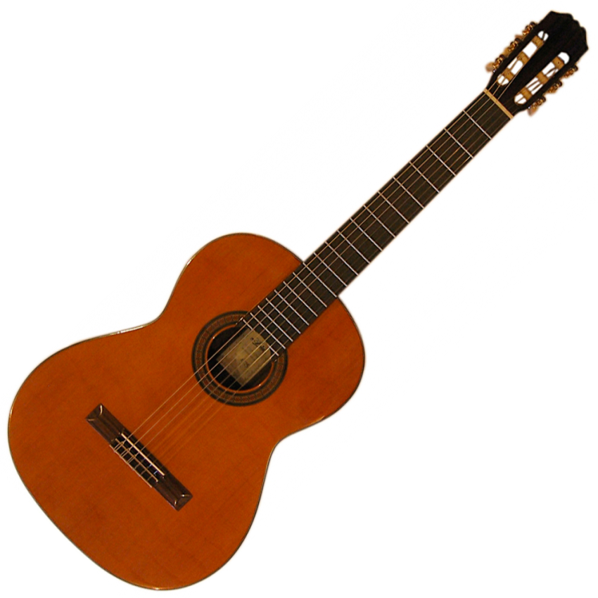 Aria AC 25
