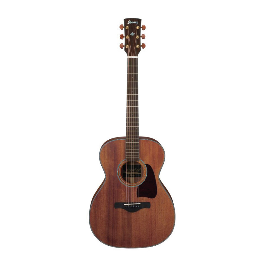 IBANEZ AC2040 OPN
