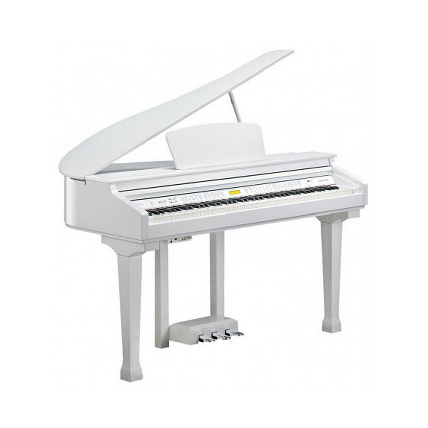 Kurzweil KAG-100 WHP
