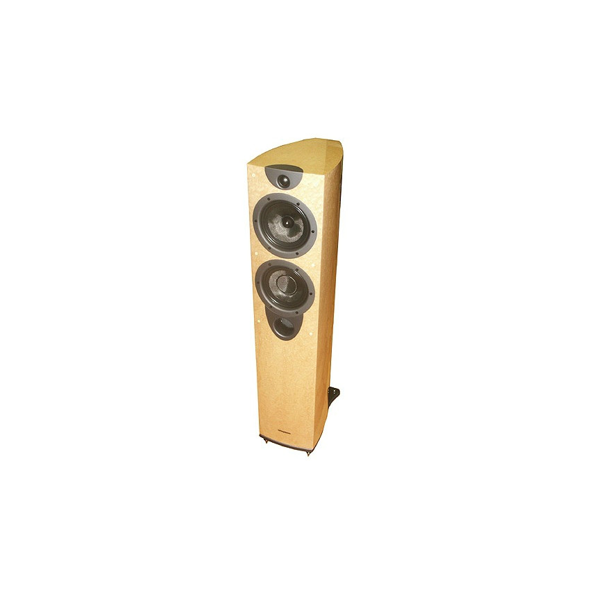 Wharfedale Evo-2 40 Piano bird's eye maple