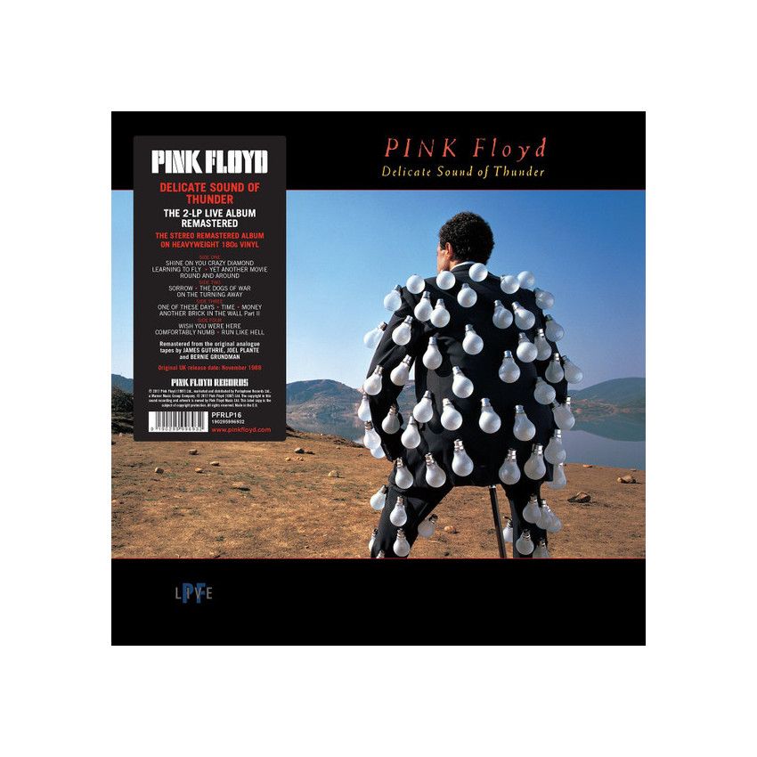PINK FLOYD - DELICATE SOUND OF THUNDER 2 LP Set 1988/2017 (PFRLP16, 180 gm.) WARNER/EU MINT (0190295996932)