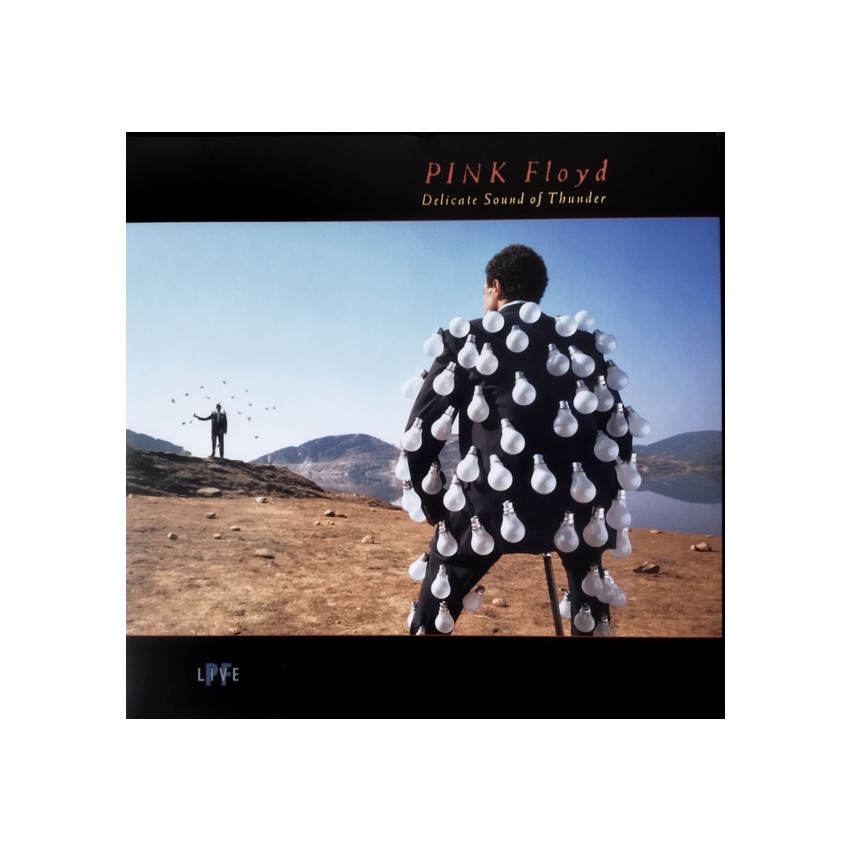 Pink Floyd: Delicate Sound Of Thunder Vinyl 2LP