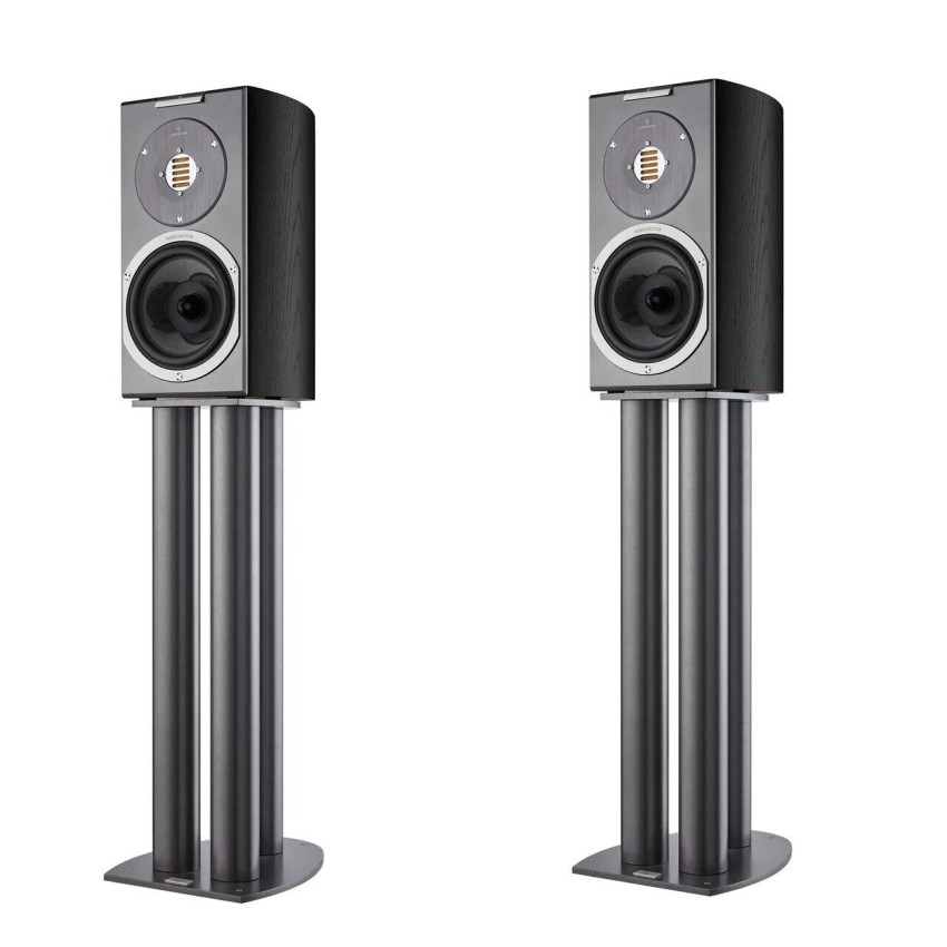 Audiovector R1 Arrete Black Ash