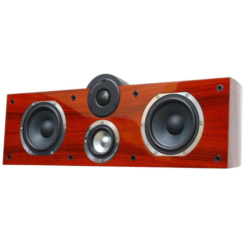 Taga Harmony Platinum C-40PR SE Rosewood Veneer with Lacquer