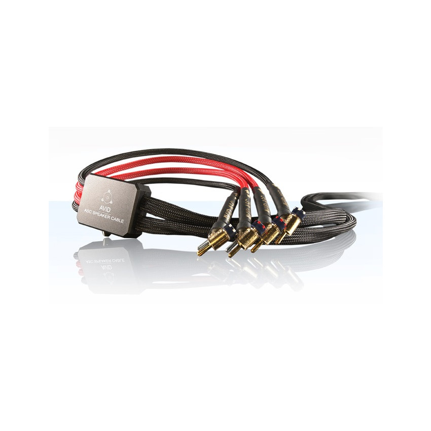 AVID ASC Banana (2m)