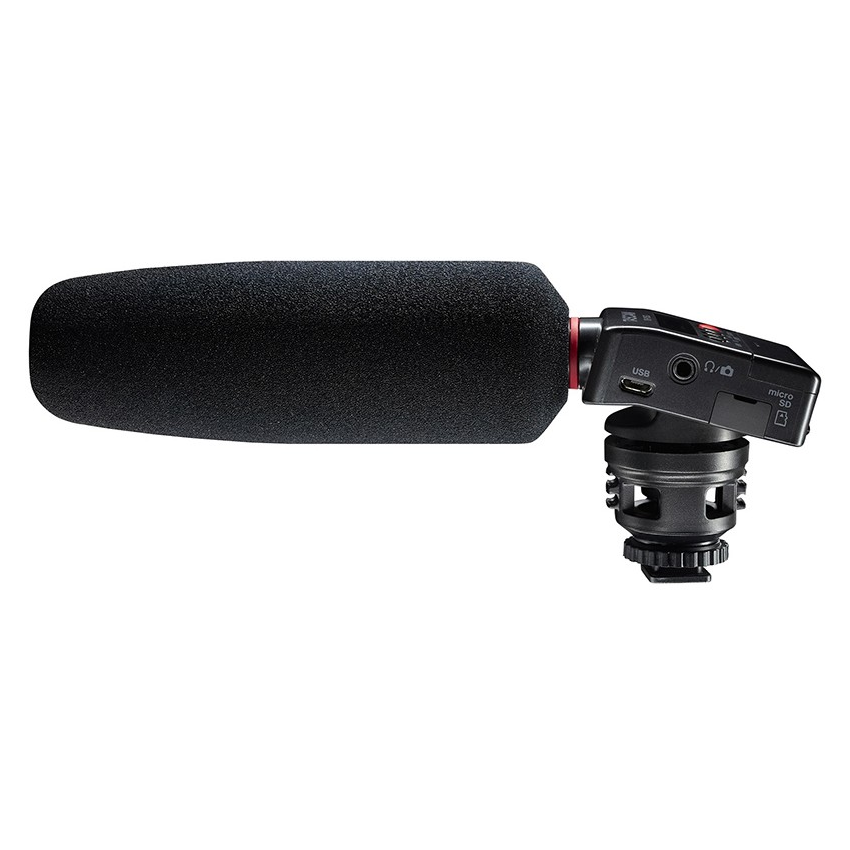 Tascam DR-10SG