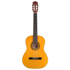 Stagg C542