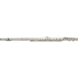 Stagg WS-FL111