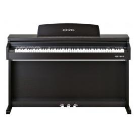 Kurzweil M100 SR