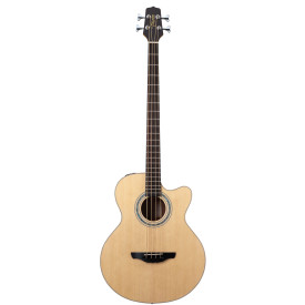 TAKAMINE EG512C