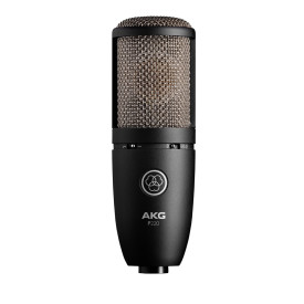 AKG Perception P220