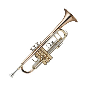 Stagg 77-T HG NI