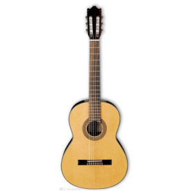 IBANEZ G100 NT