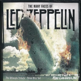 V /A - LED ZEPPELIN - THE ULTIMATE TRIBUTE 2008 (PEC 2031-1) ZYX/EU MINT