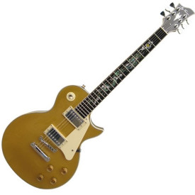 Jay Turser JT220D Serpent1 GT