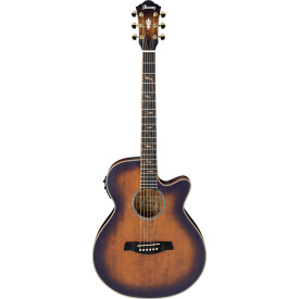 IBANEZ AEG40II OAB