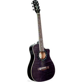 Fender T-BUCKET 200CE TBK
