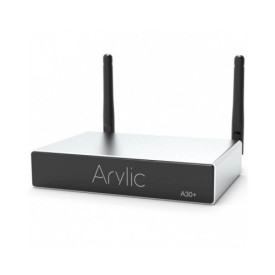 Arylic A30+