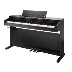 Kurzweil CUP E1 SR