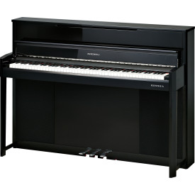 Kurzweil CUP1 BP