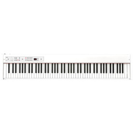 KORG D1 WH