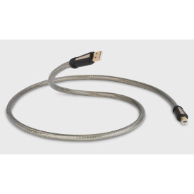 QED REFERENCE USB 1m